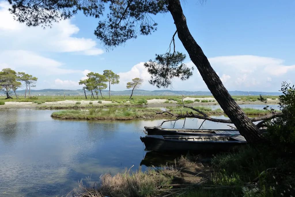 Albania Wildlife Guide: Bears, Birds and Balkan Lynx