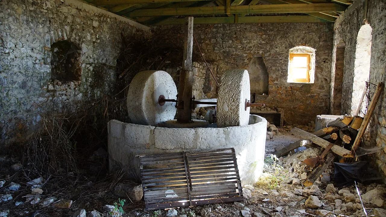 Albanian Olive Oil: Kalinjot, Vlorë Groves and What to Try