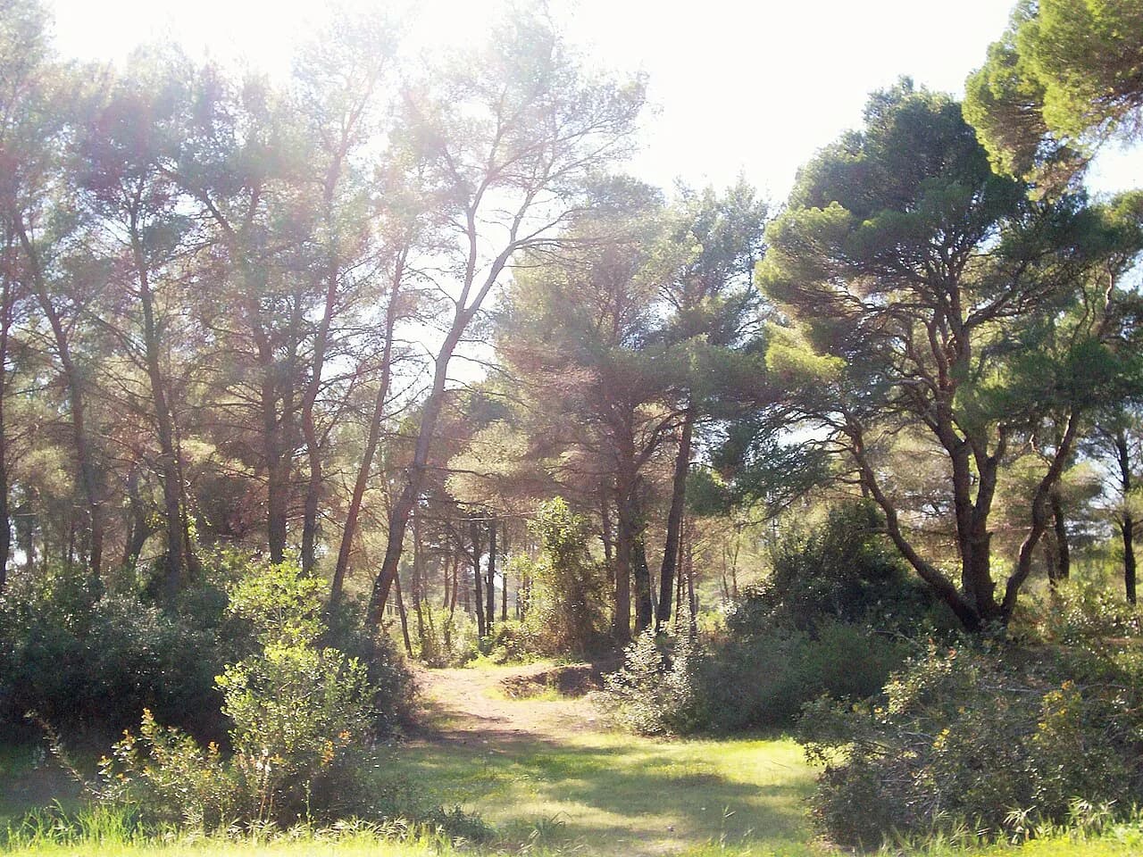 Divjaka National Park Guide: What to See in Fier