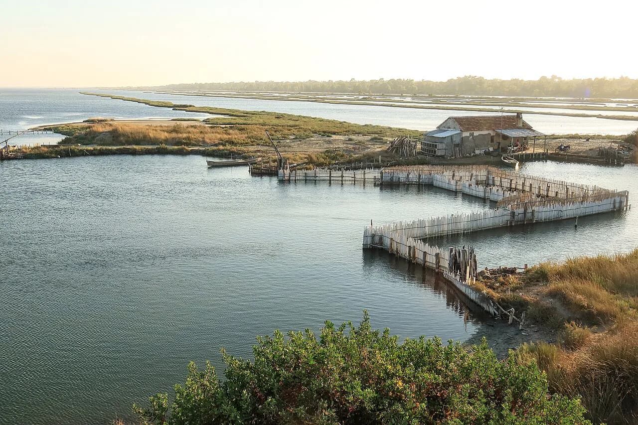 Karavasta Lagoon: Visiting Divjakë-Karavasta National Park