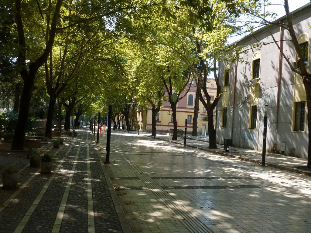 Tirana Lake Park: the Grand Park and Artificial Lake