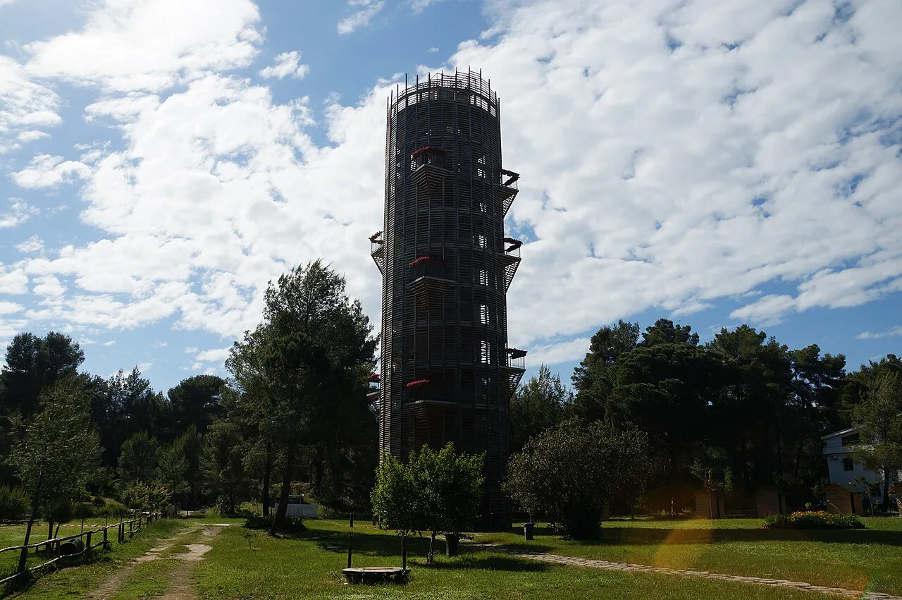 The lookout tower among the pines of Divjaka-Karavasta National Park.