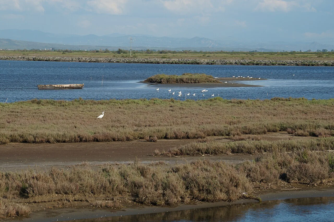 Birds on the shallow water at the southern end of Karavasta Lagoon.