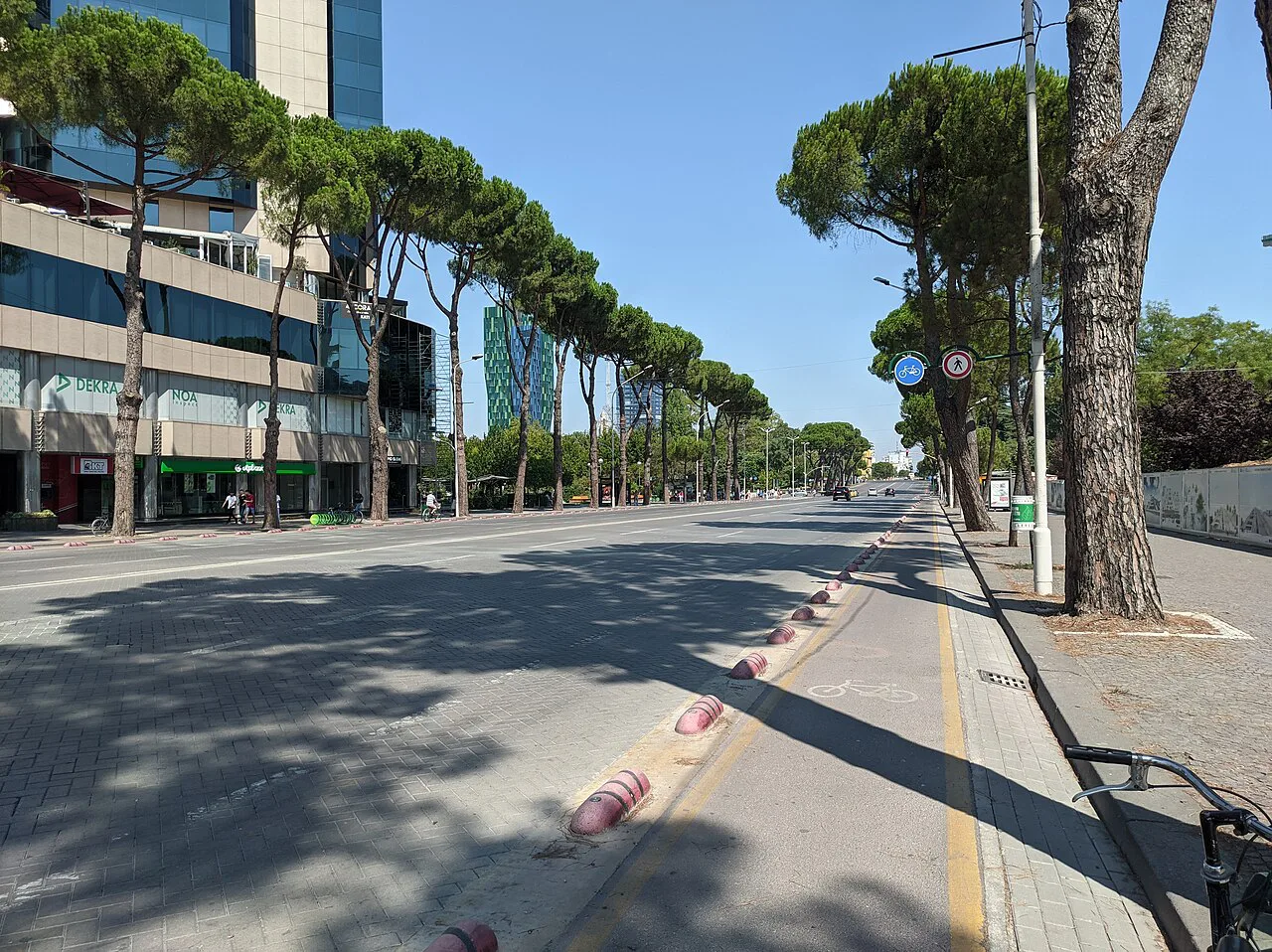 A pine-lined boulevard in central Tirana.