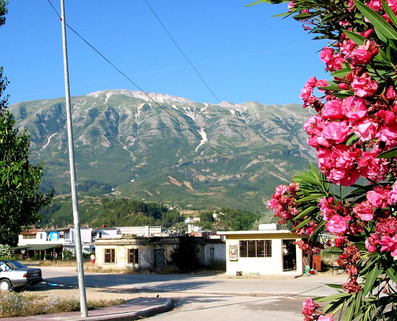 Snow-streaked mountains above a street in Përmet, framed by pink oleander.