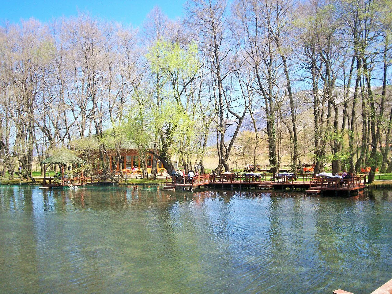 The tree-lined waters of Drilon near Pogradec.