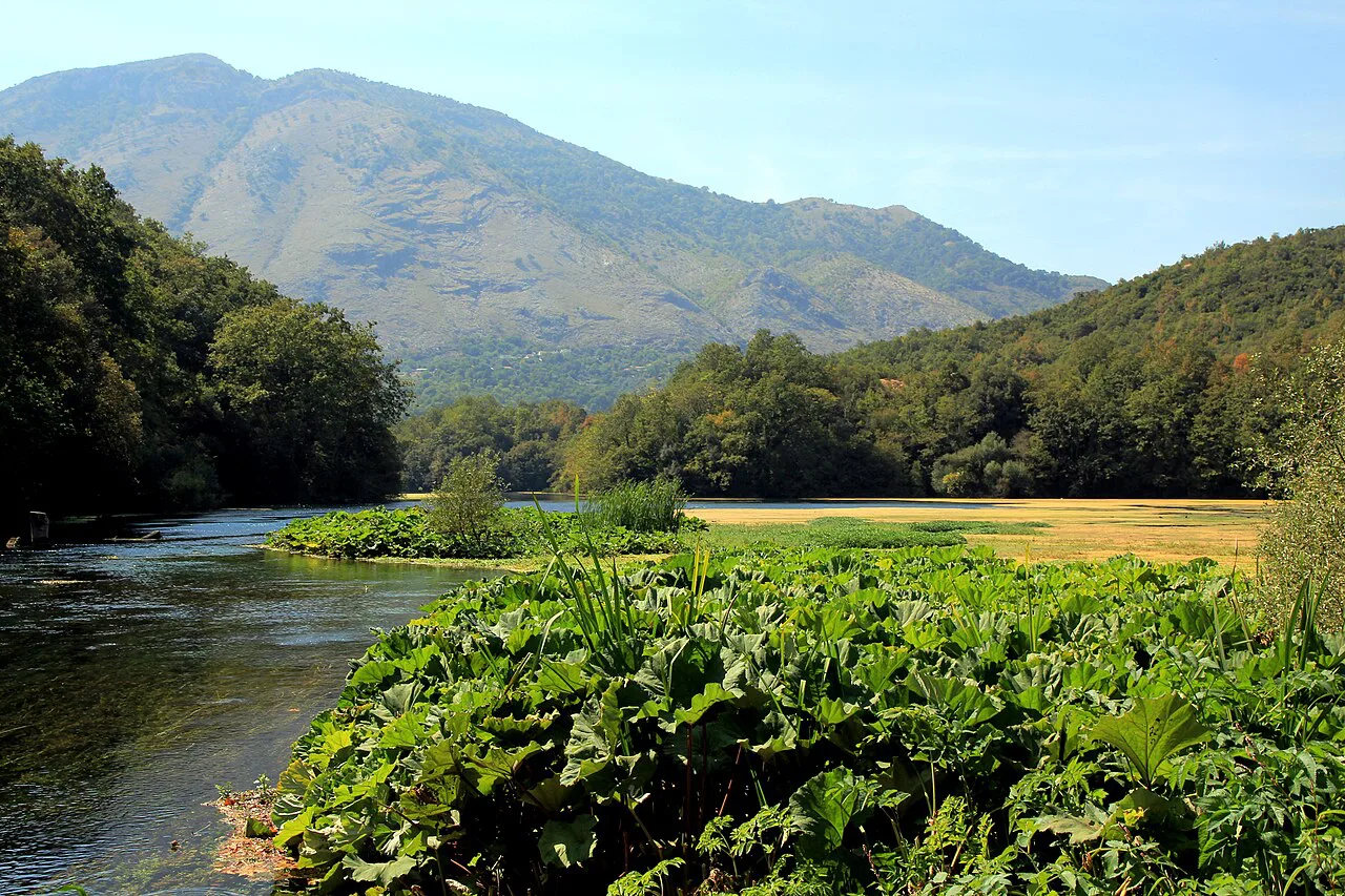 The clear river flowing from the Blue Eye spring through green valley scenery.