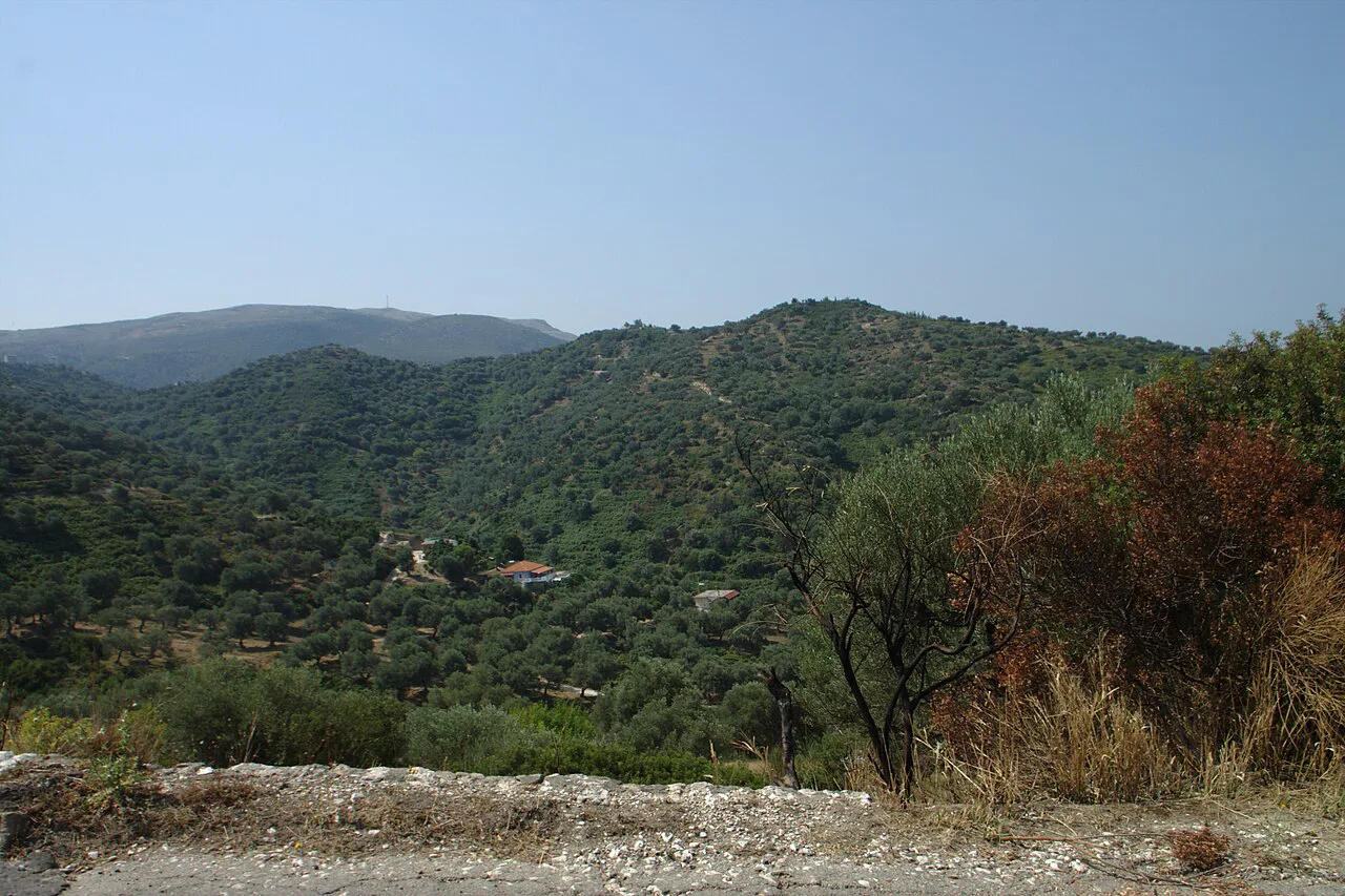 Villas on the northern edge of Kaninë village, with the sea in the distance.