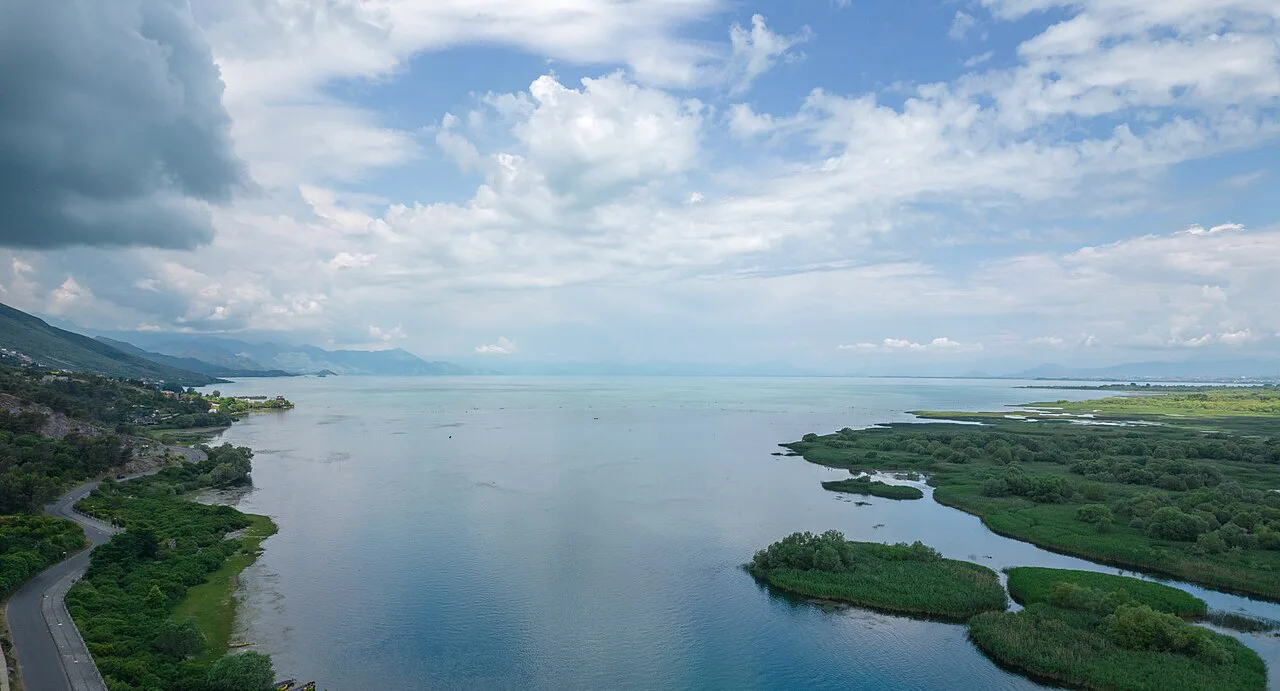 Lake Shkodra with reed-fringed islets along its shore.