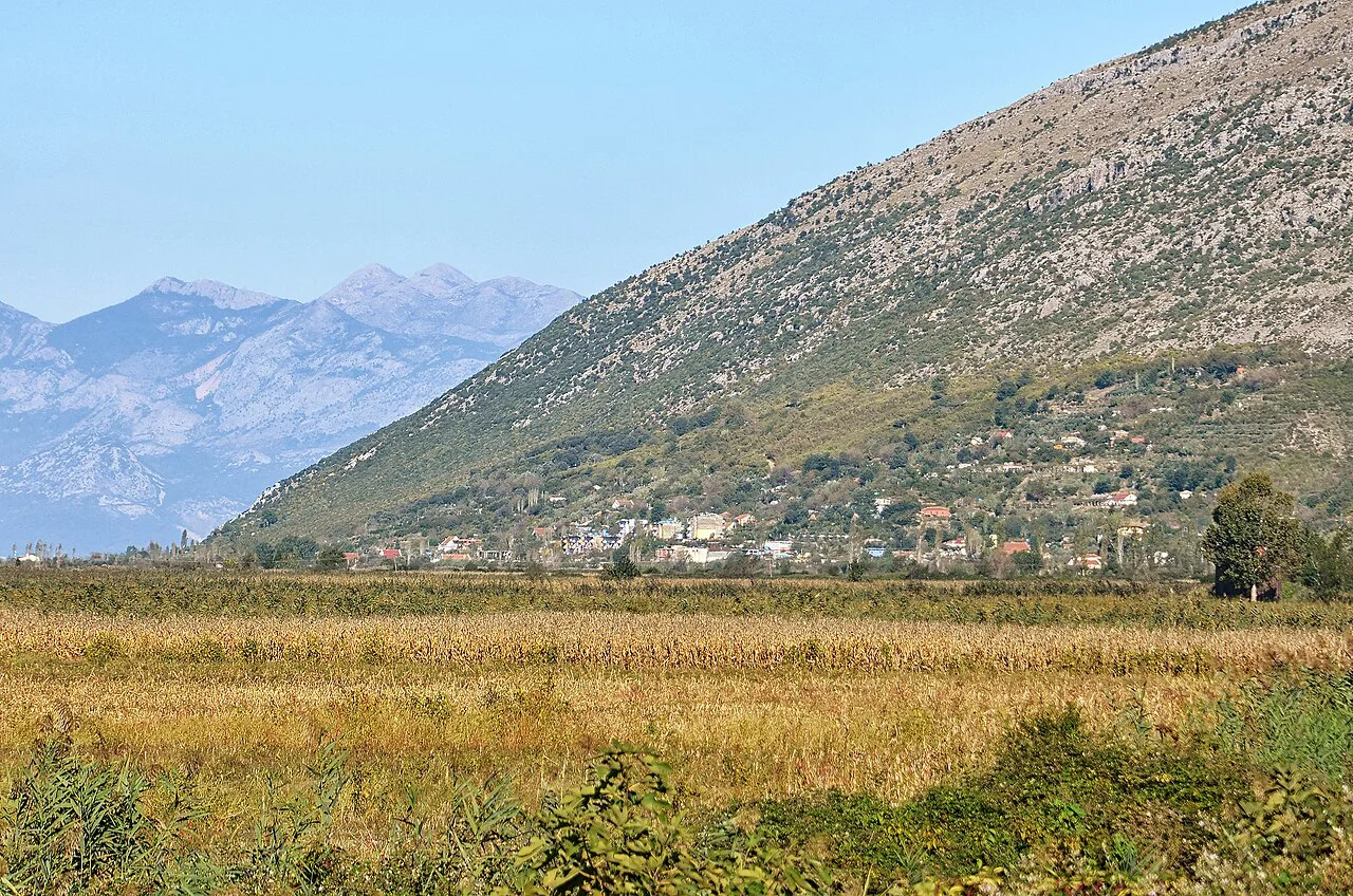 The Torovicë plain near Lezhë with the Kakariq Hills behind.