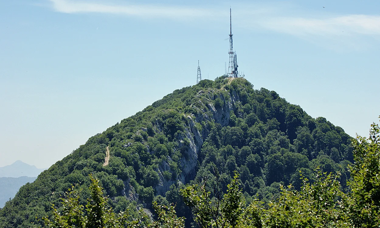 The forested peak of Mount Dajti.
