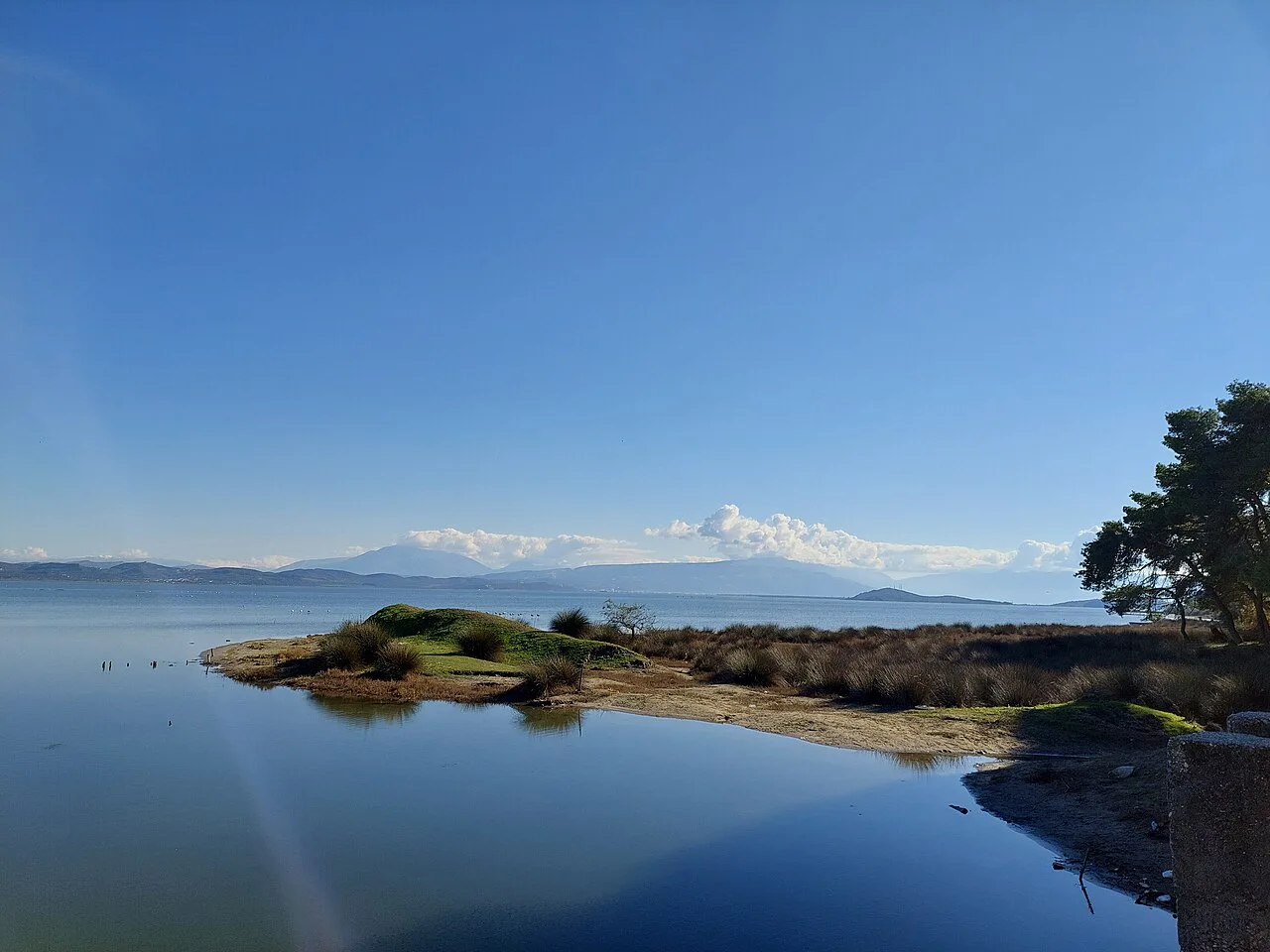 A small wooded islet in the calm water of the Narta Lagoon.