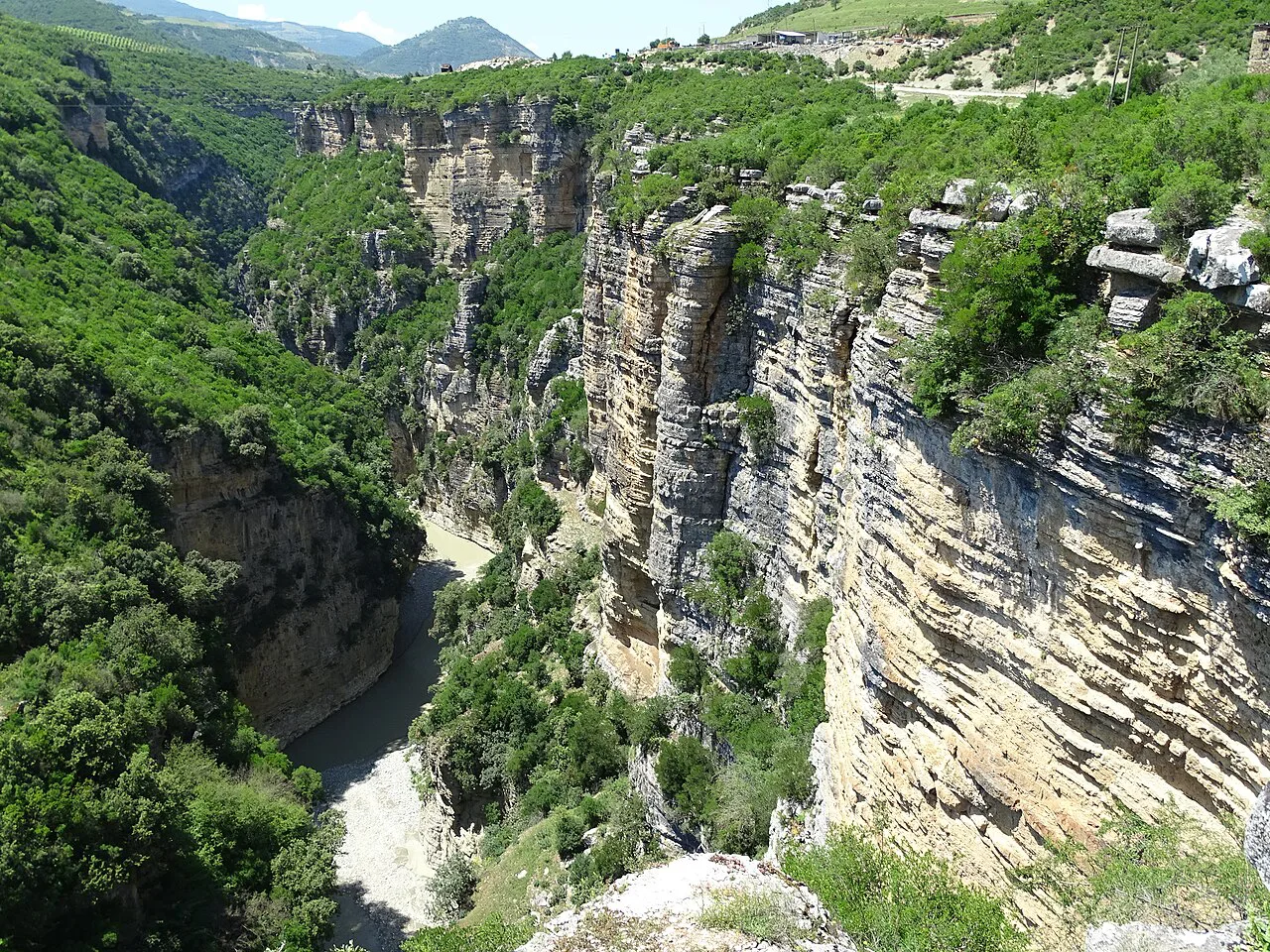 The forested cliffs of the Osum Canyon outside Çorovodë.