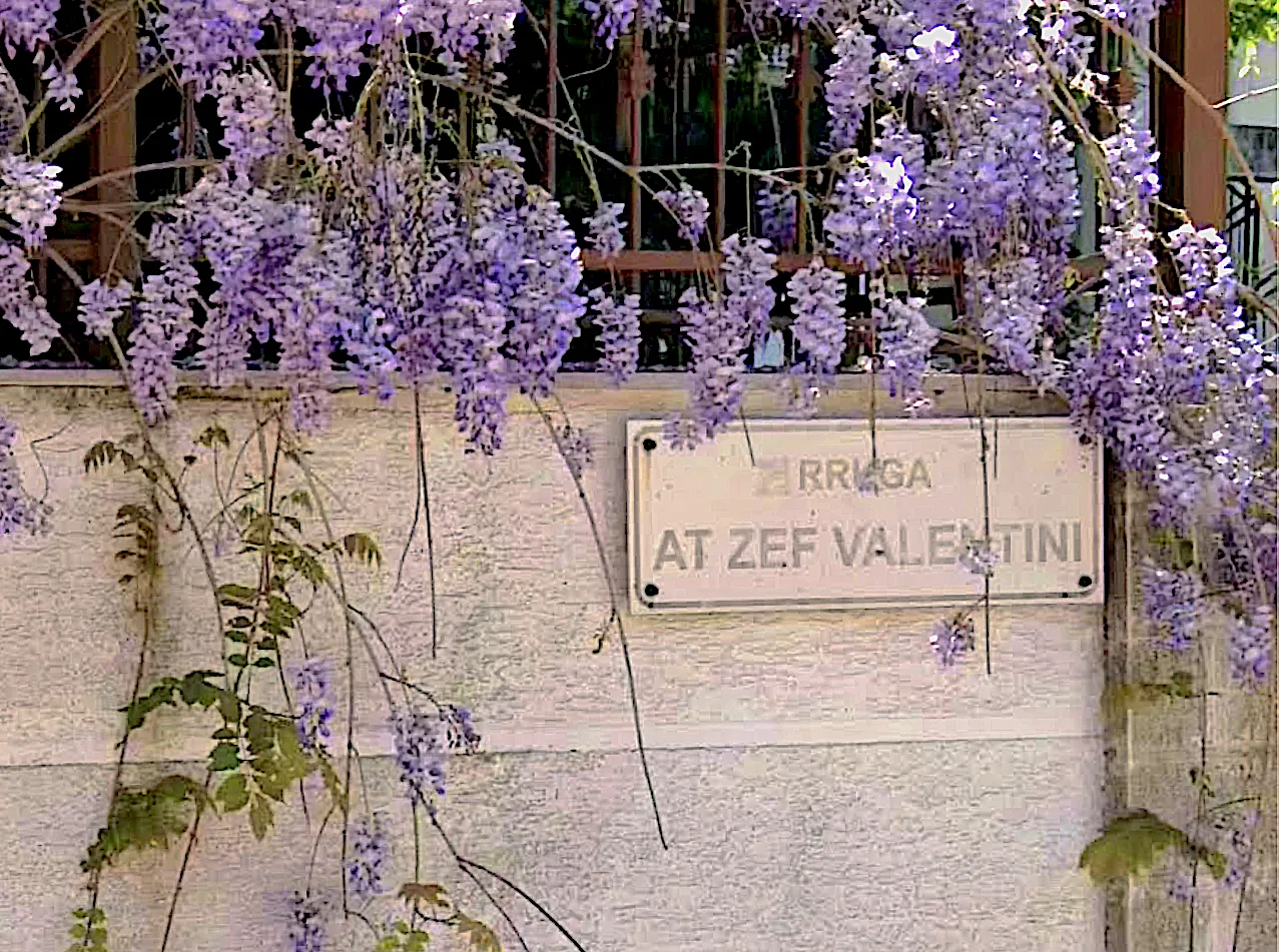 Wisteria over the street sign for Rruga At Zef Valentini in Shkodër.