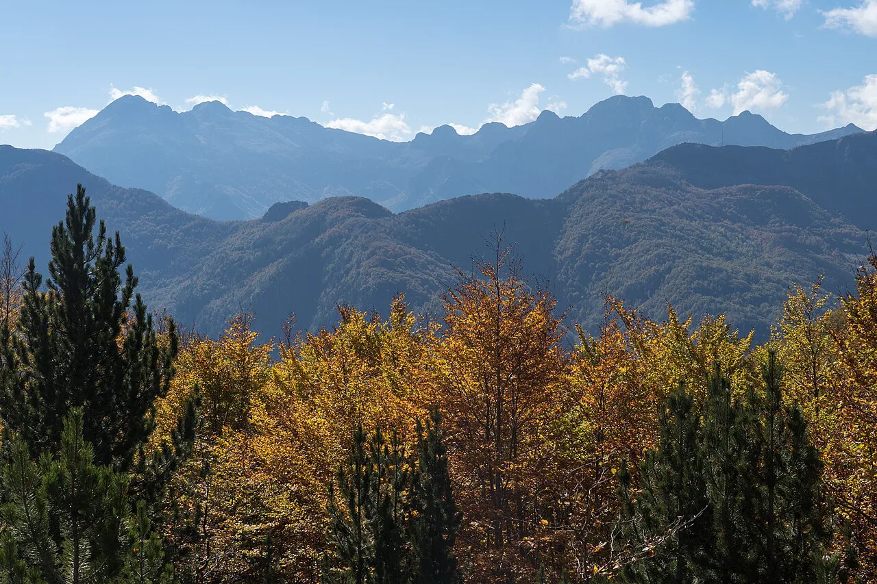 Autumn forest and mountain peaks in Theth National Park.