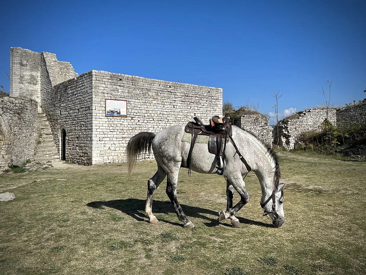 A horse grazing by the ruins of the White Mosque in Berat Castle.