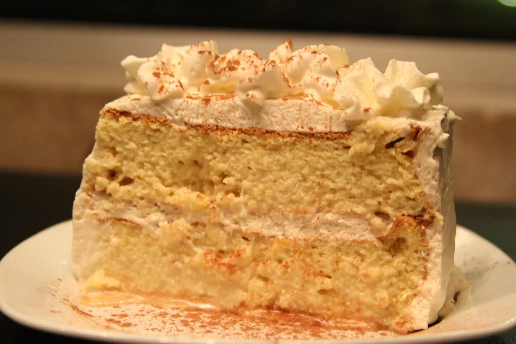 A slice of tres leches cake dusted with cinnamon.