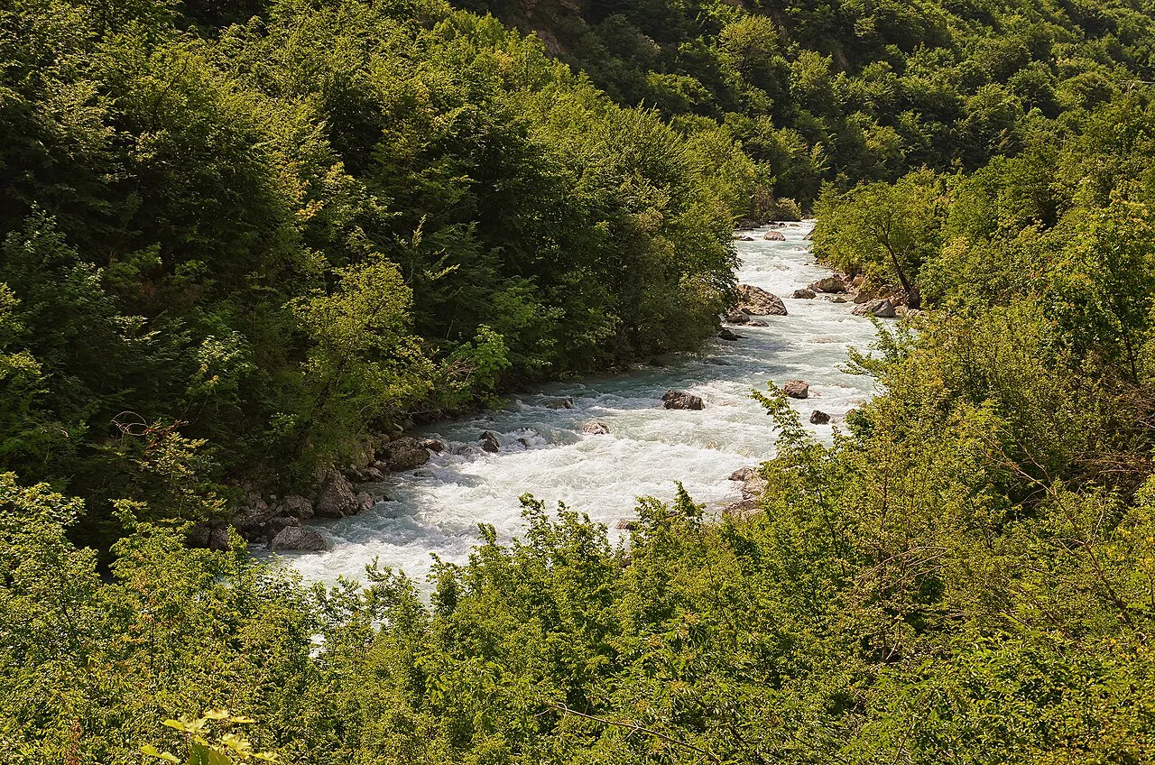 The Valbona River rushing through forest in the Valbona Valley.