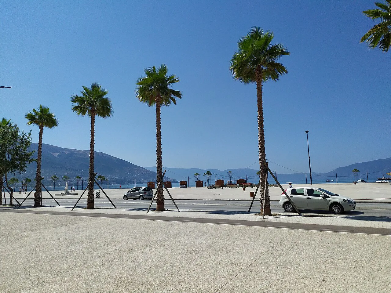 Palm trees along the Lungomare seafront in Vlorë.