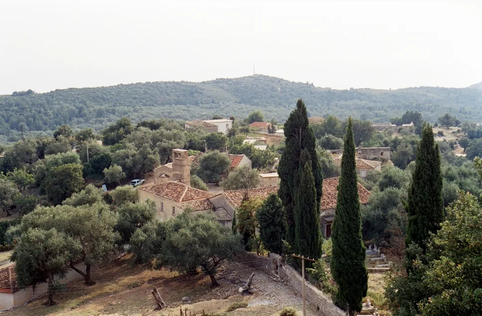 Olive groves and cypresses around the village of Vuno.